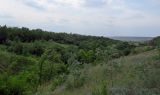 Image of landscape