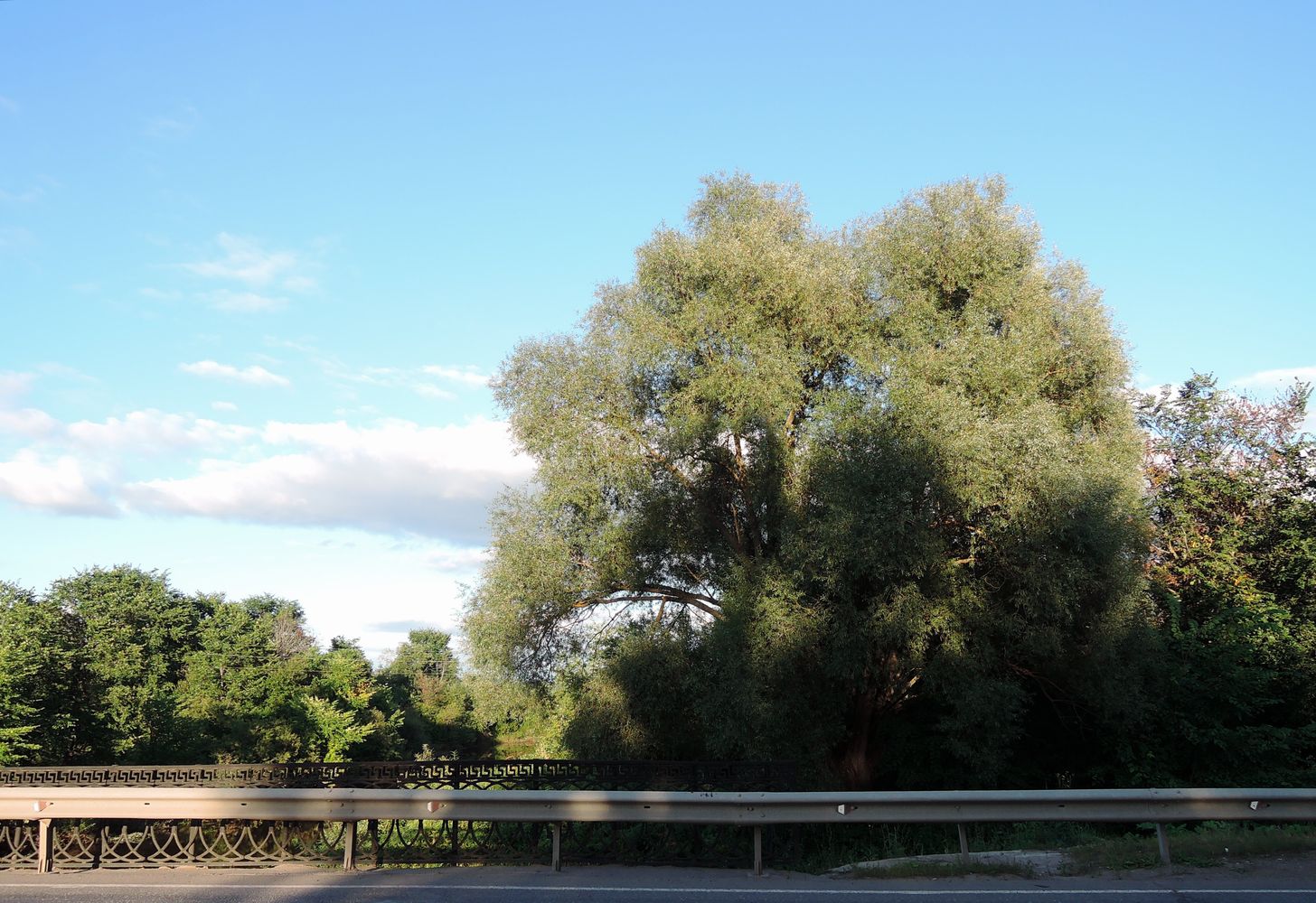 Мост через Позимь, image of landscape/habitat.