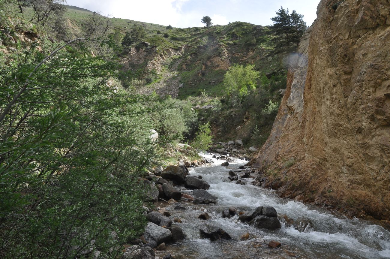 Долина реки Кубасантысу, image of landscape/habitat.