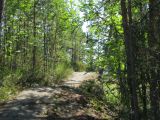 Кончозеро, image of landscape/habitat.