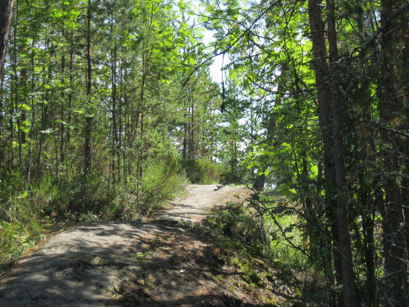 Кончозеро, image of landscape/habitat.
