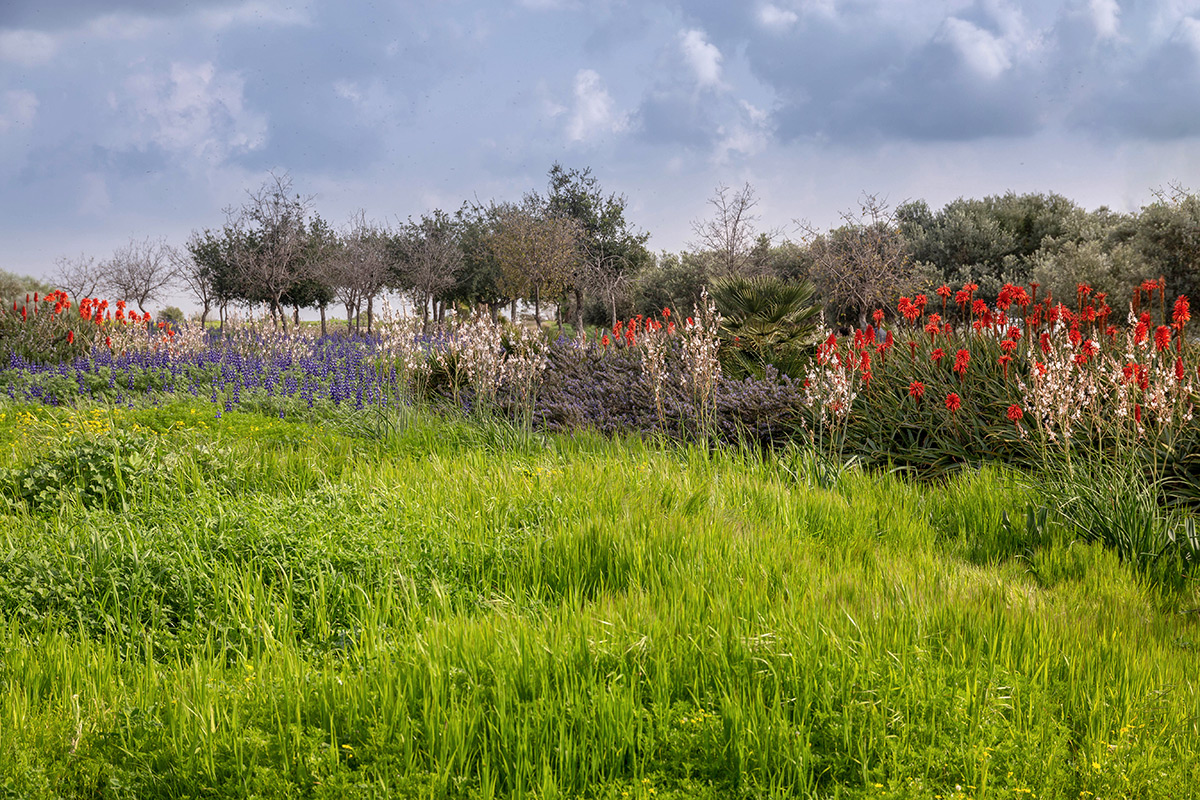 Парк Ариэля Шарона, image of landscape/habitat.