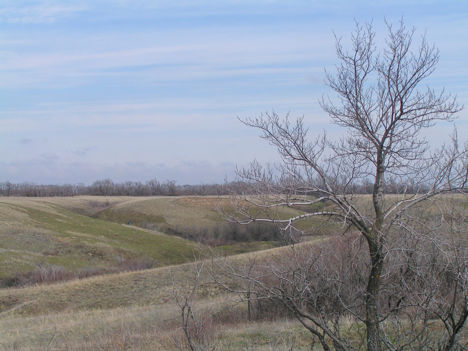 Балка Западная, image of landscape/habitat.