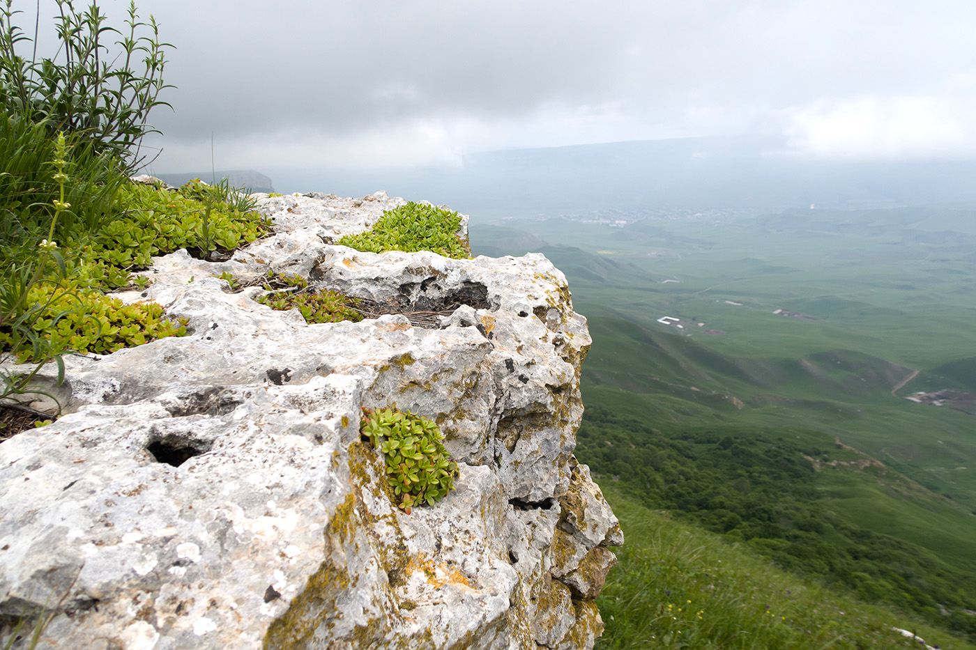 Джангур, изображение ландшафта.