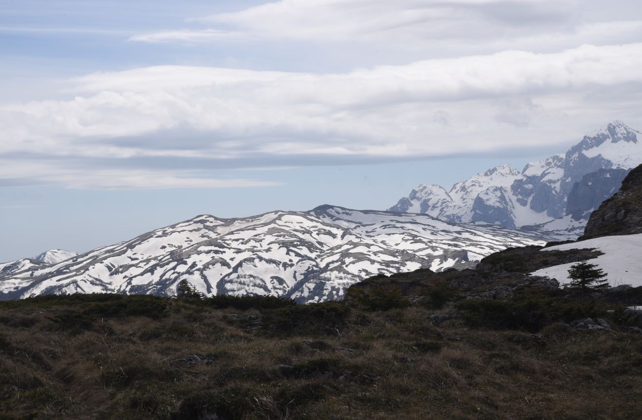Гора Гузерипль, image of landscape/habitat.