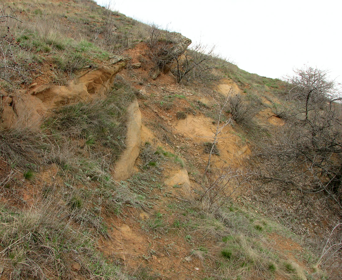 Клебан-Бык, изображение ландшафта.