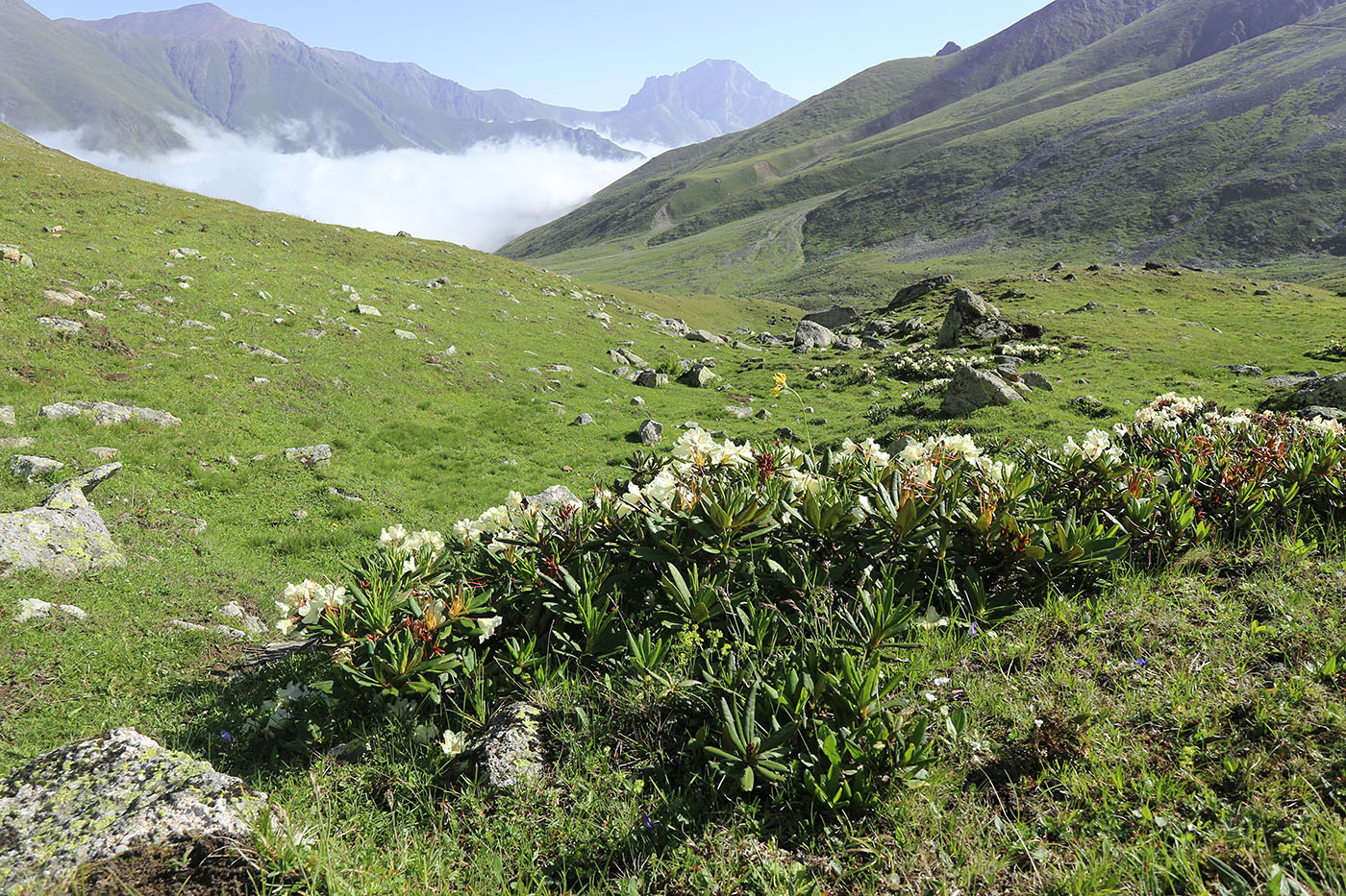 Долина Туранашки, image of landscape/habitat.