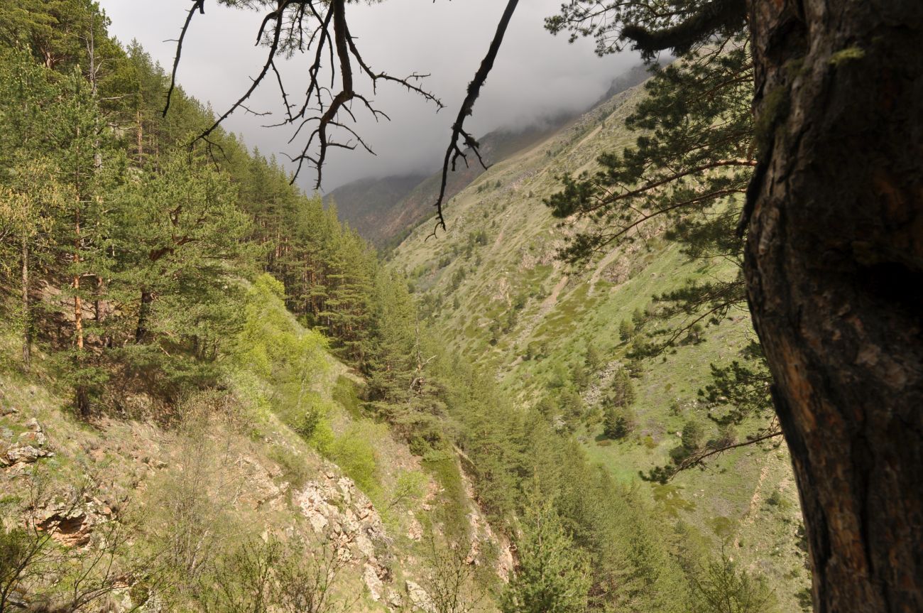 Долина реки Кубасантысу, изображение ландшафта.