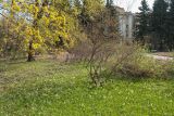 Парк Ботанического института РАН, image of landscape/habitat.