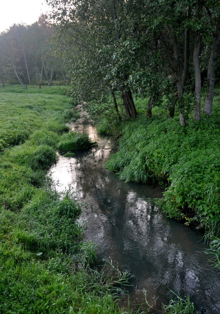 Гремячий ключ, image of landscape/habitat.