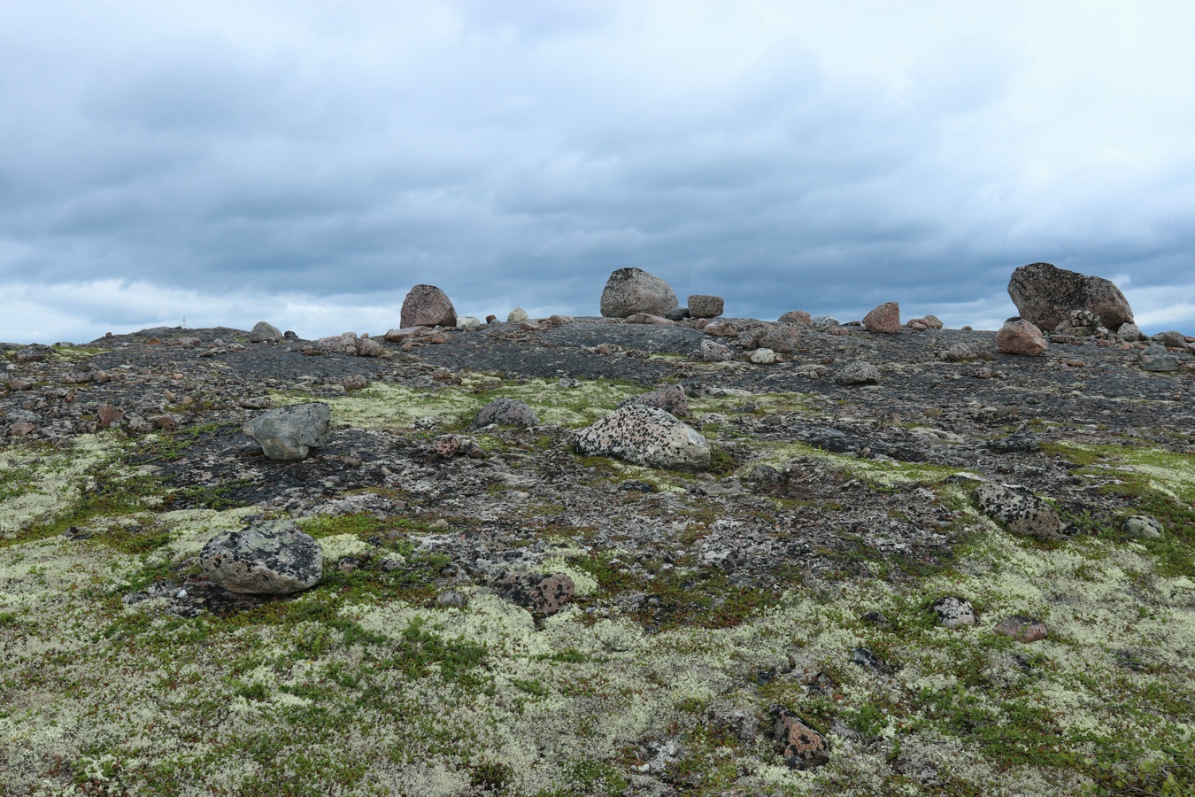 Высота 111.7, image of landscape/habitat.