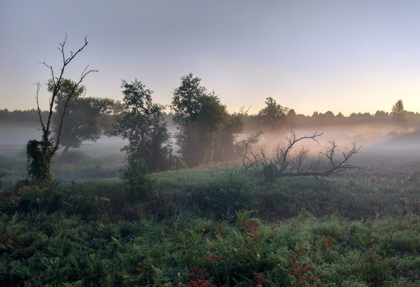 Клец, image of landscape/habitat.