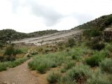 Image of landscape