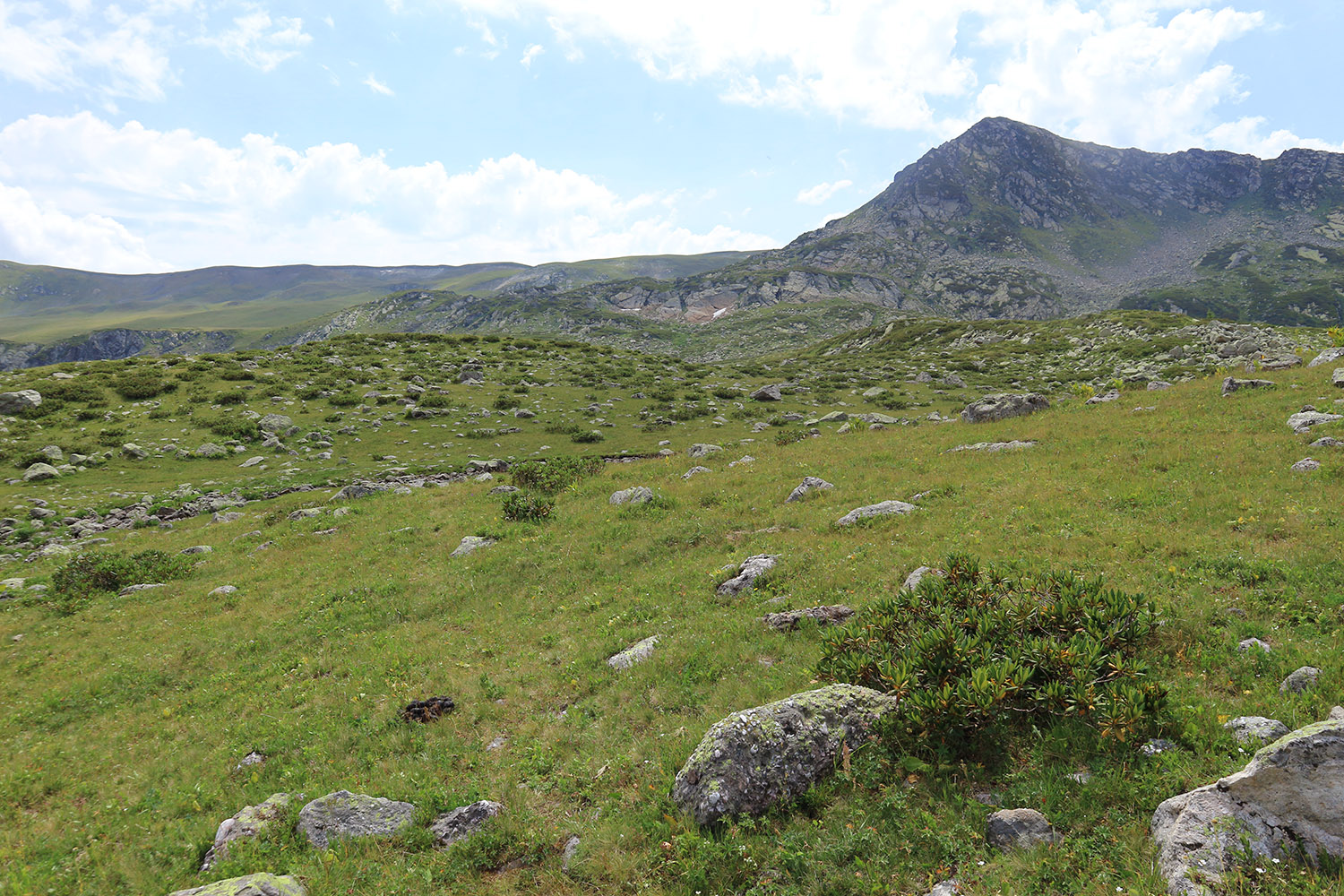 Ацгарские озёра, image of landscape/habitat.