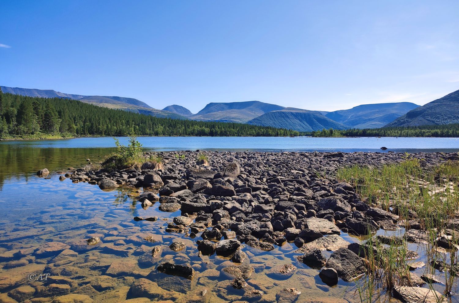 Озеро Каменное, image of landscape/habitat.