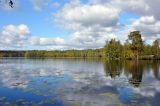 Image of landscape