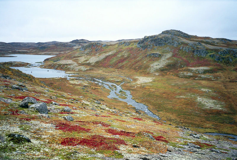 Кут Ярнышной губы, image of landscape/habitat.