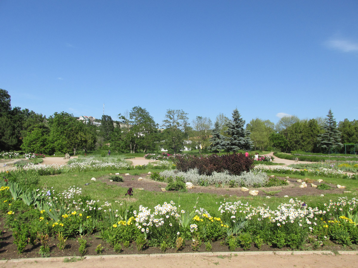 Парк «Салгирка», image of landscape/habitat.