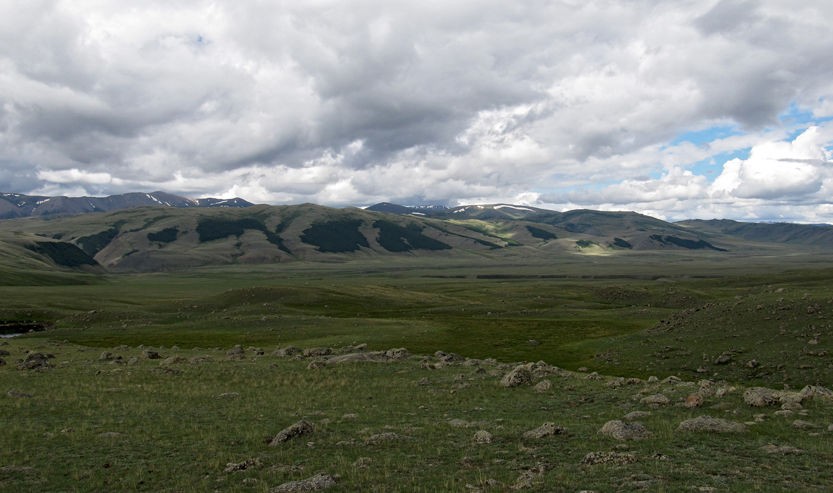 Монгун-Тайга, image of landscape/habitat.