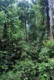 Image of landscape