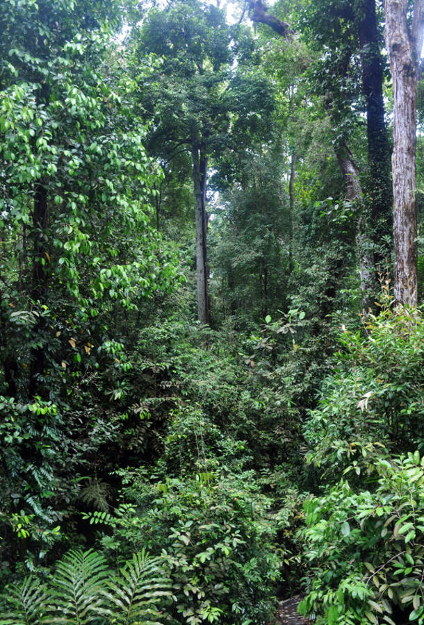 Национальный парк "Бако", image of landscape/habitat.