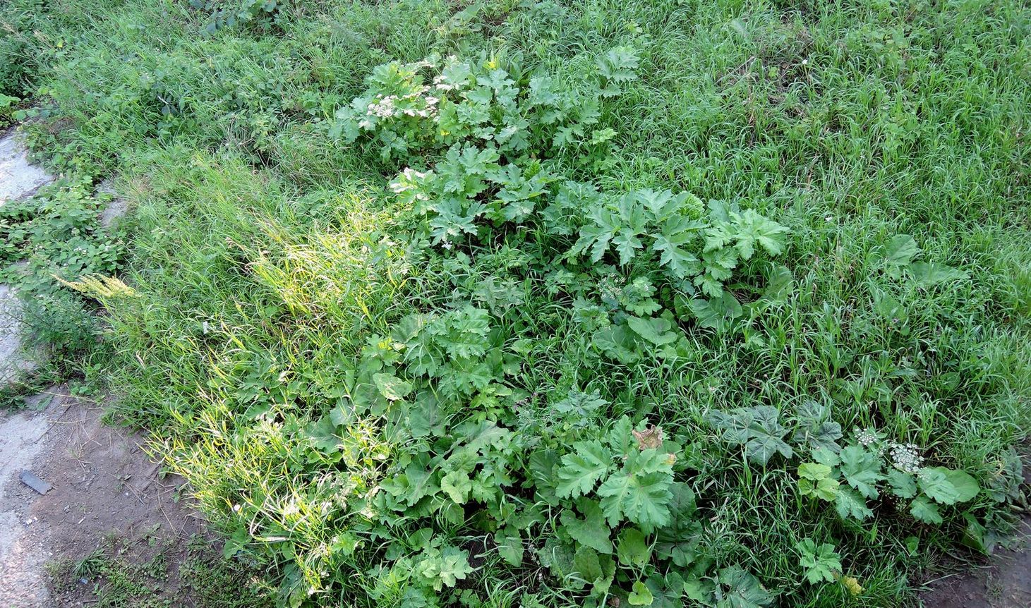 Мост через Позимь, image of landscape/habitat.