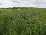Image of landscape