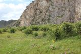 Image of landscape