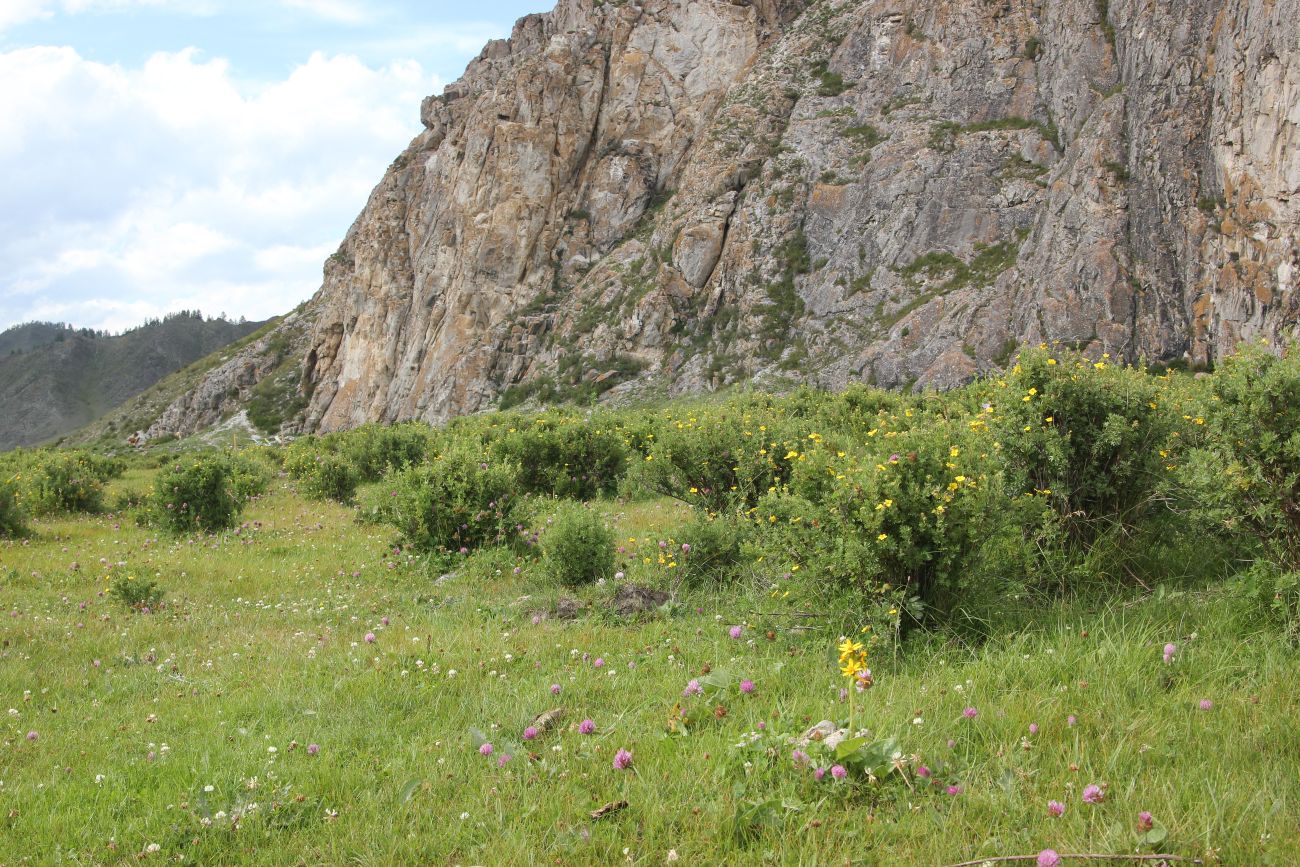 Окрестности Усть-Канской пещеры, изображение ландшафта.