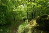 Успенка, image of landscape/habitat.