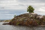 Ладожские шхеры, image of landscape/habitat.