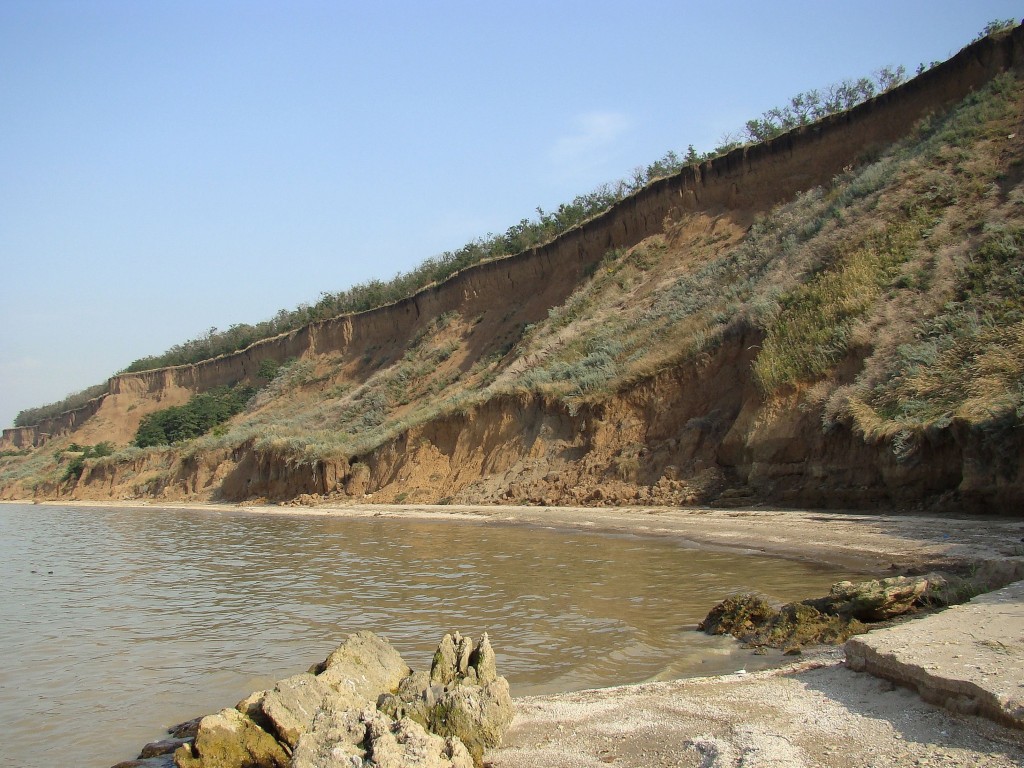 Берег Таганрогского залива, image of landscape/habitat.