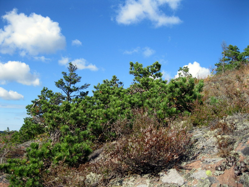 Аландские острова, image of landscape/habitat.
