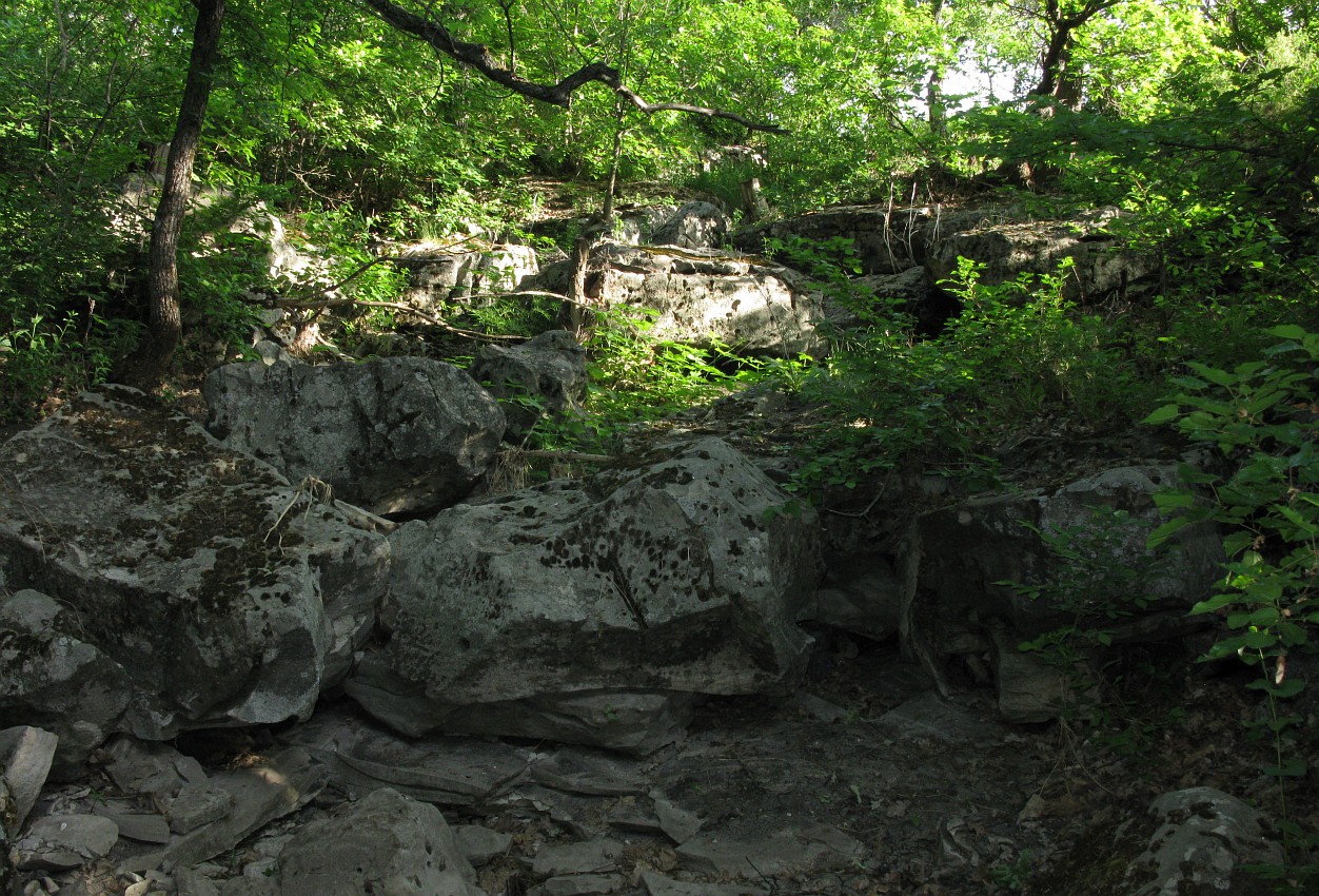 Тарасовский, изображение ландшафта.