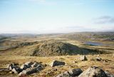 Поздняковское озеро, image of landscape/habitat.