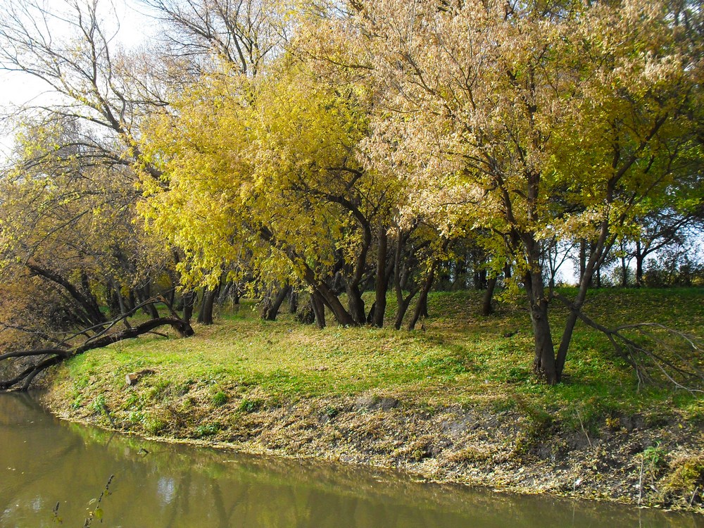 Луганск и окрестности, image of landscape/habitat.