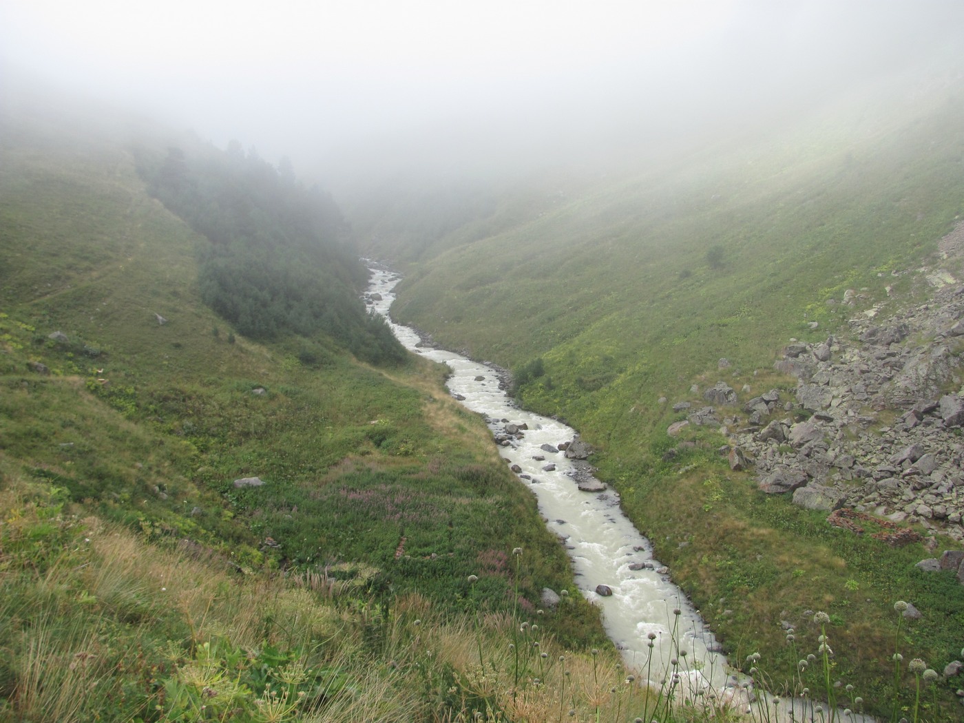 Долина реки Юсеньги, image of landscape/habitat.