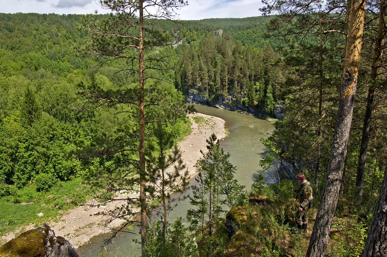 Пятилистник, image of landscape/habitat.