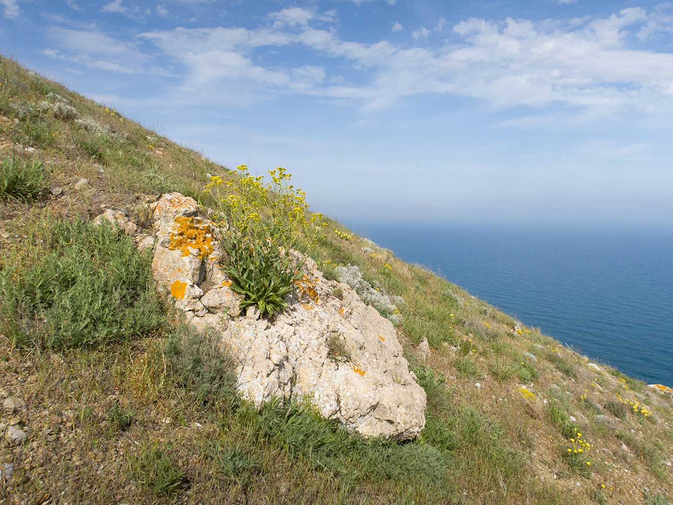 Киик-Атлама, изображение ландшафта.