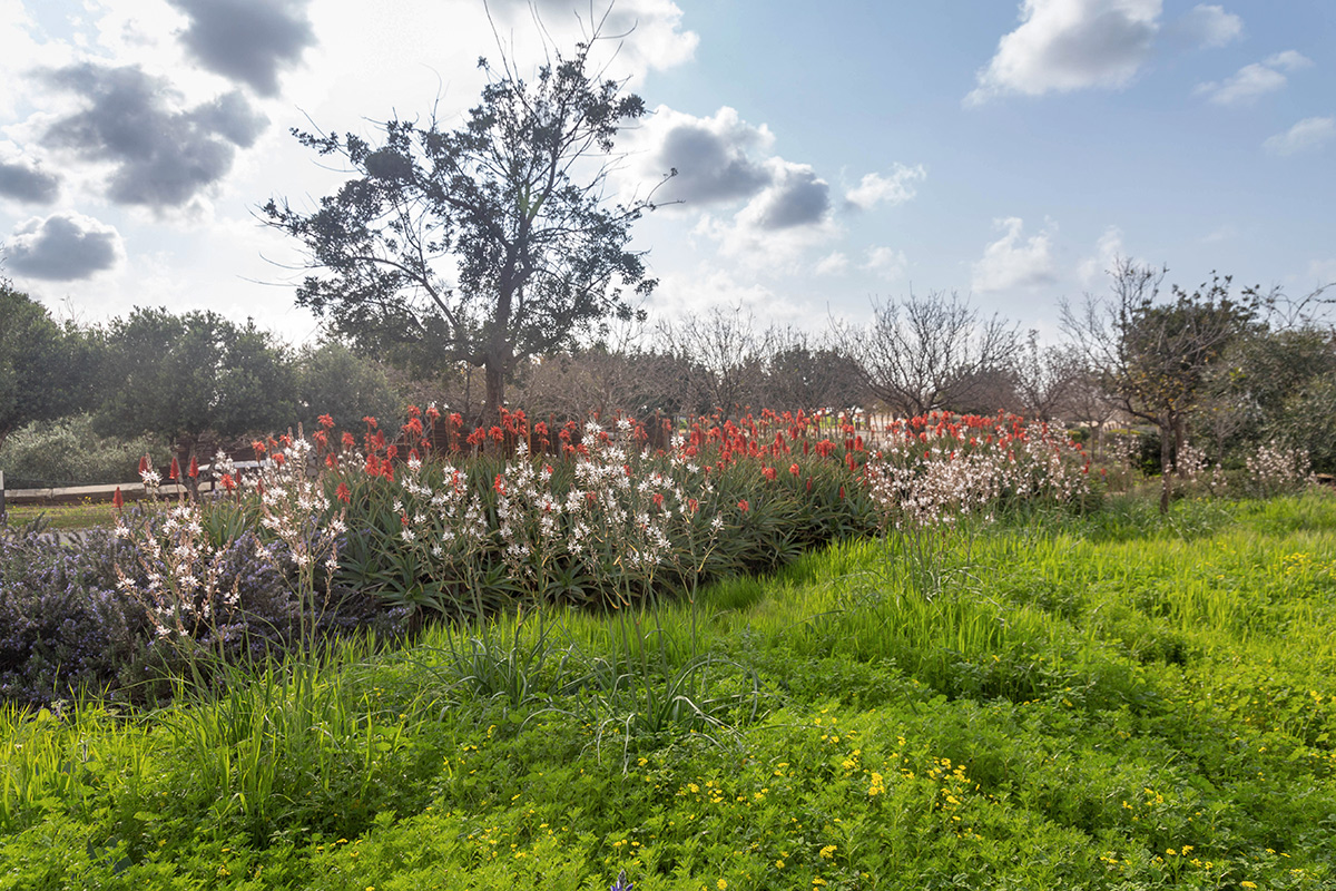 Парк Ариэля Шарона, image of landscape/habitat.