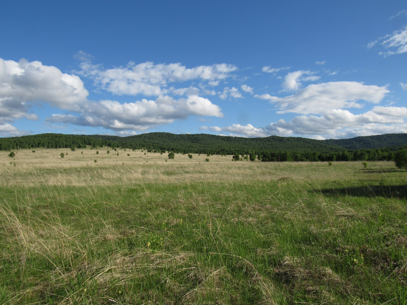 Убейский залив, image of landscape/habitat.