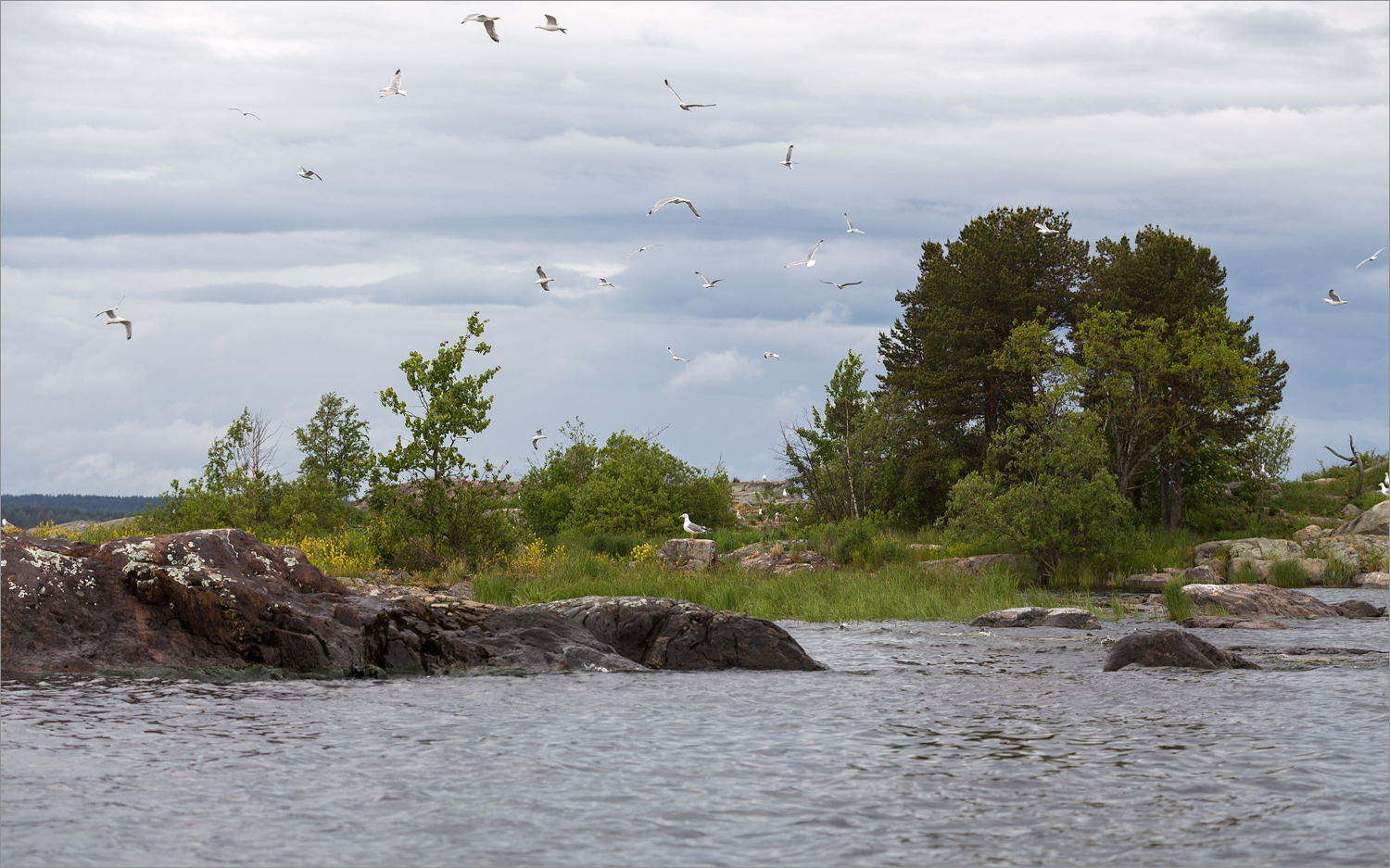 Ладожские шхеры, image of landscape/habitat.