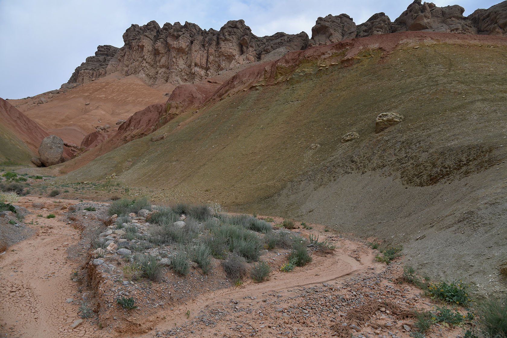 Исфара, image of landscape/habitat.