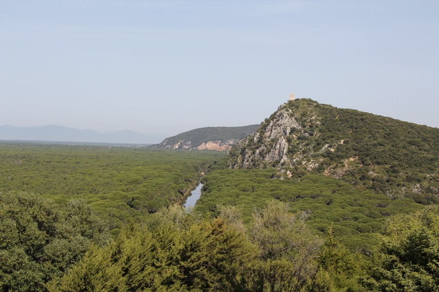 Маремма, image of landscape/habitat.