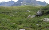 Image of landscape