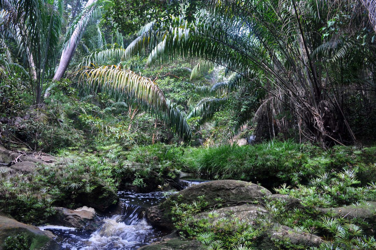 Национальный парк "Бако", image of landscape/habitat.