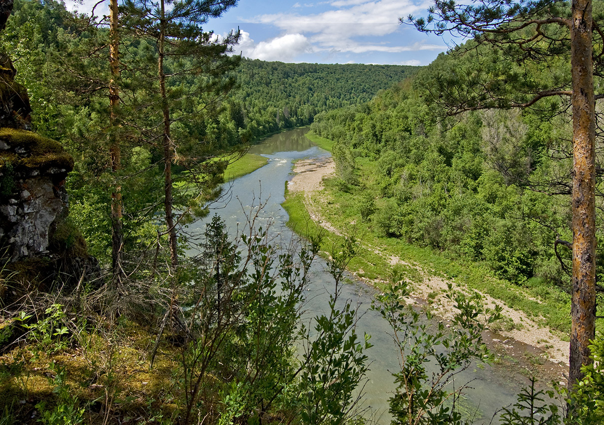 Пятилистник, image of landscape/habitat.