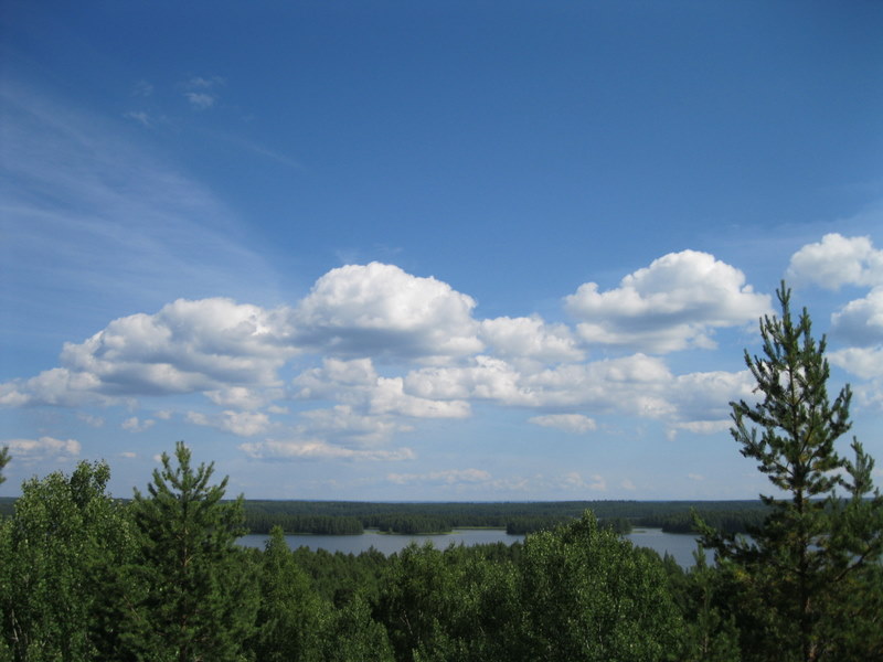 Кончозеро, image of landscape/habitat.