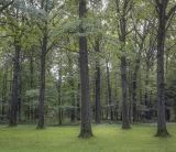 Image of landscape