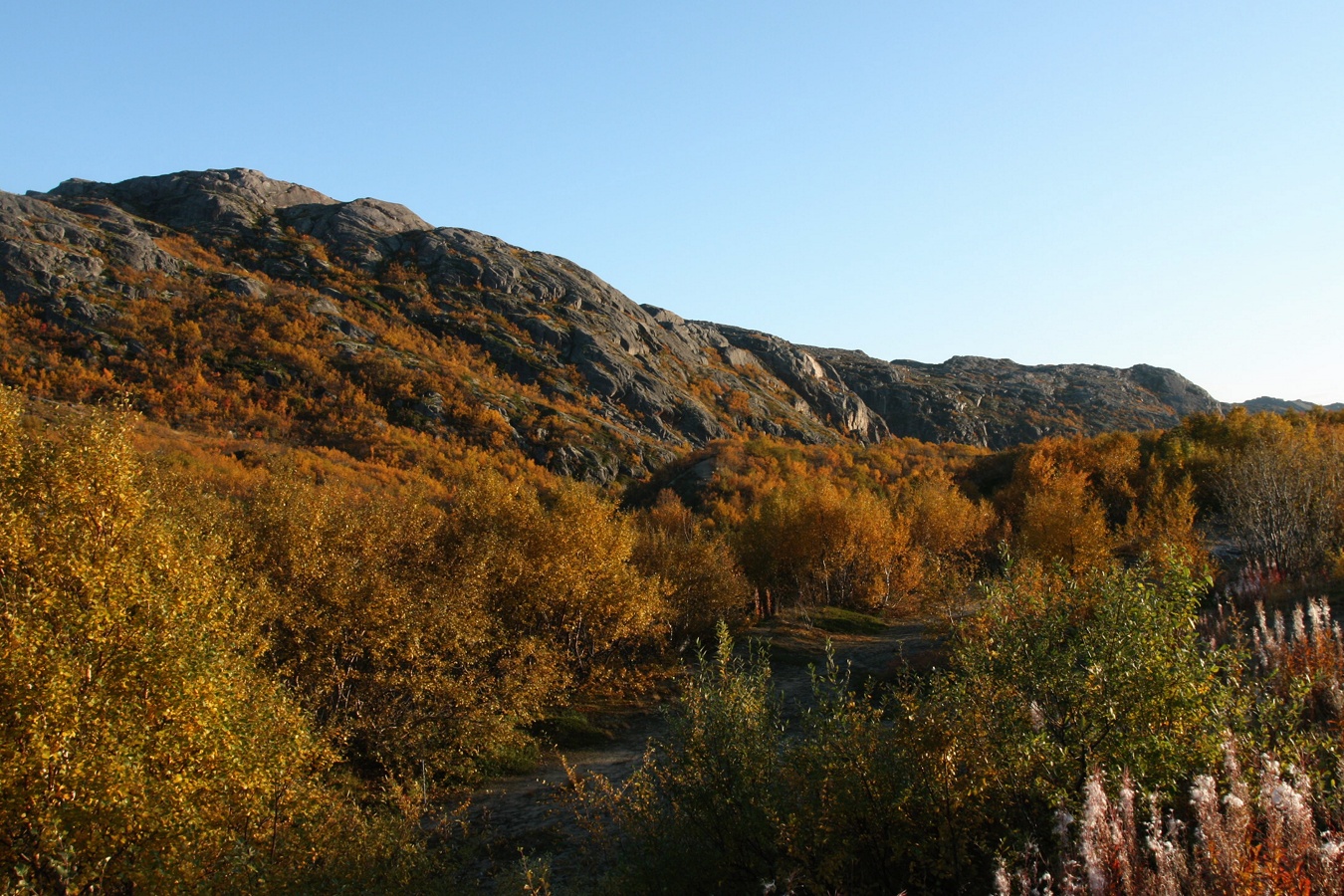 Териберка, image of landscape/habitat.